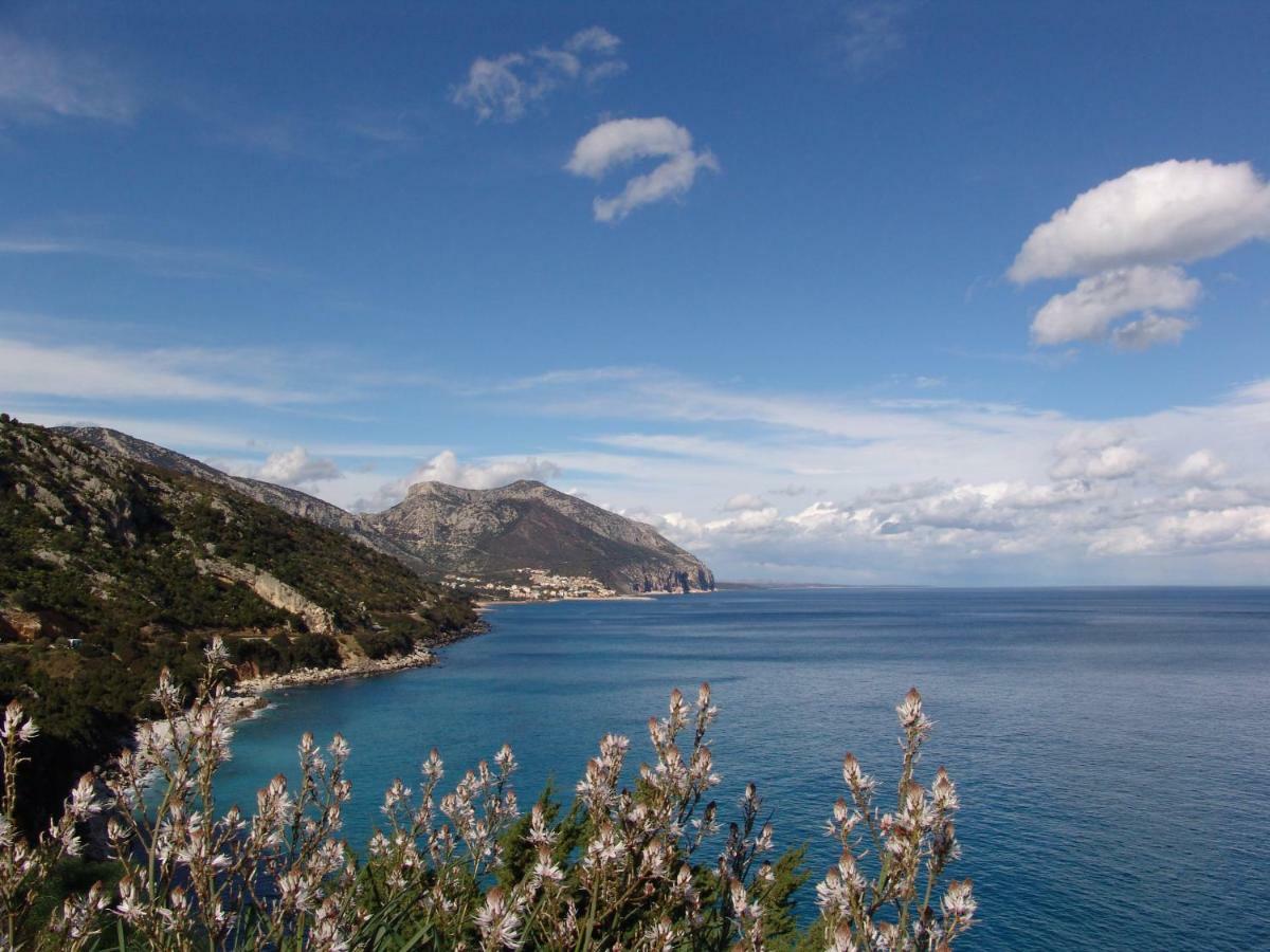Villa Corrasi Oliena Luxury Buitenkant foto